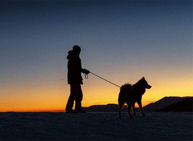 walking dog in the dark